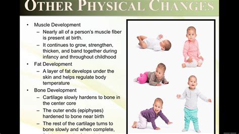 Chapter 3-P1: Infancy-Physical Development - YouTube