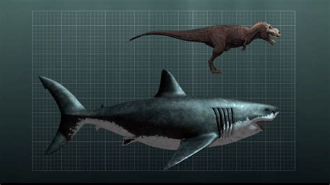 T-rex and Megalodon | Tubarão megalodon, Fotos de dinossauros, Fatos de ...