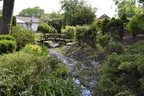 Hornsea Open Gardens – Wild Parenting