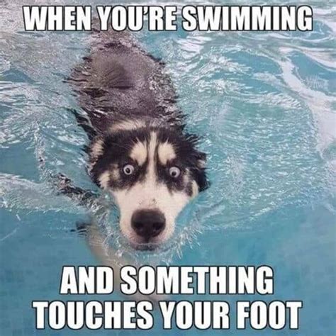 What touched my foot??? - Meme by bensog475 :) Memedroid