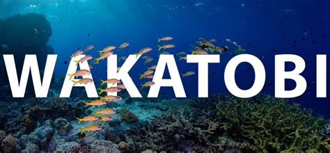 Wakatobi Snorkeling Guide - Snorkel Venture