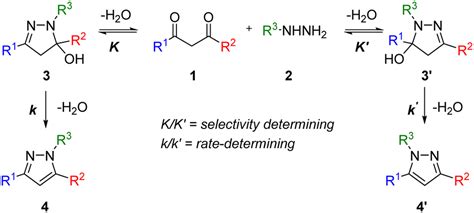 Discovery of unexpectedly complex reaction pathways for the Knorr ...