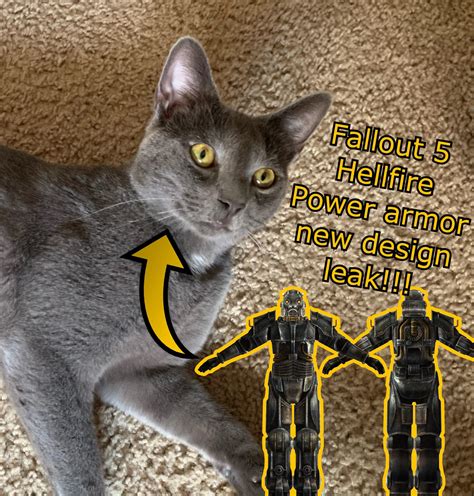 My cat look like the armor lol so laugh : r/FalloutMemes