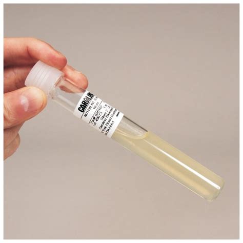 Carolina Nutrient Agar Slant, Prepared Media Tubes 10/Pk.:Microbiological | Fisher Scientific