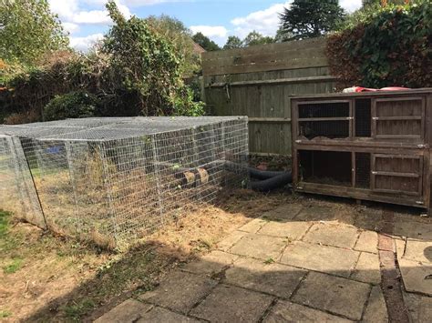 Giant rabbit run/pet cage and hutch (optional) | in Sunbury-on-Thames ...