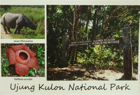 Indonesia > Ujung Kulon National Park - Chris0's Postcards