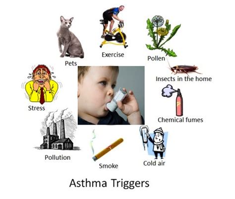 Factors That Can Trigger Asthma Attacks in Children