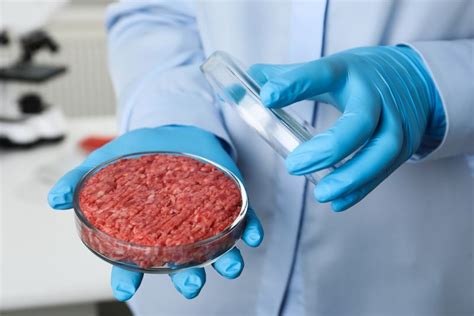 Lab-Grown Meat Up To 25 Times Worse For The Environment Than Beef ...