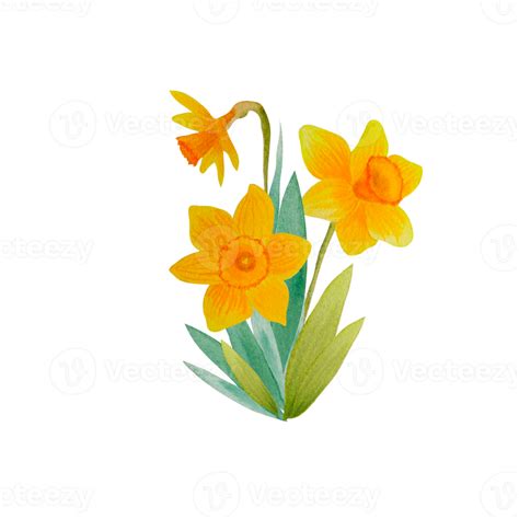 Watercolor spring flowers bouquet 12596542 PNG