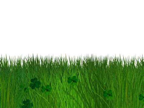 Green Grass and Clover Border with Transparent Background PNG (Nature-Grass-And-Foliage ...