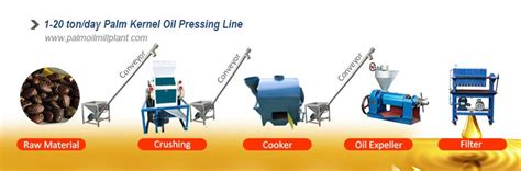 How to Make Palm Kernel Oil? | Process Design and Equipment