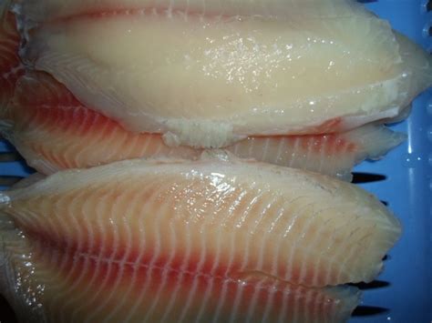 Healthy Pure Fresh Boneless Frozen Tilapia Fish , Frozen Tilapia Fillets