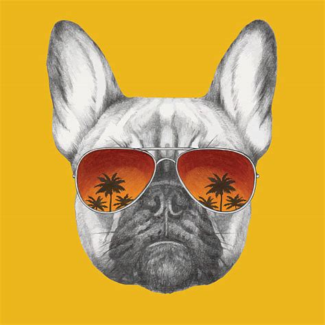 2,400+ Dog Sunglasses Stock Illustrations, Royalty-Free Vector Graphics ...