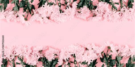 Beautiful flowers composition. Pink flowers on pink background ...