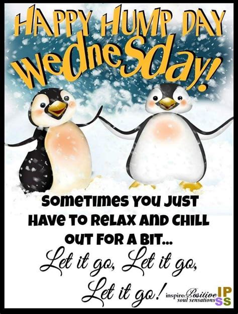 Happy Wednesday!🤗🐪 #LetitGo #Chill | Happy wednesday pictures, Happy wednesday quotes, Wednesday ...