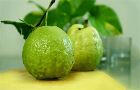 High Yield Hybrid Guava Varieties in India: State Wise Cultivars