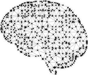 How the Brain's Grid System Maps Mental Spaces - Neuroscience News