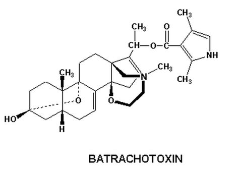 Batrachotoxin - Toxins as Biochemical Weapons