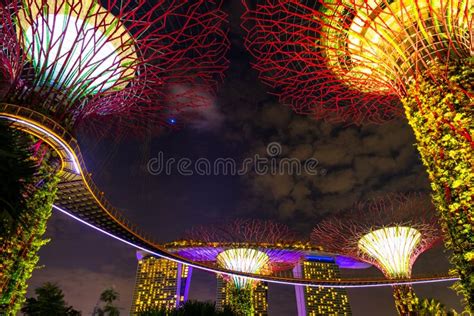 2019 February 28, Singapore - the Scene of the Supertree Night Light ...