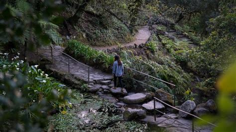 5 Reasons to Visit Sintra from Lisbon - Discover Walks Blog