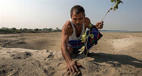 L'homme qui planta une forêt - Notre Terre