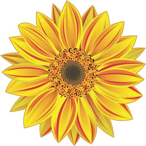 StickerTalk Sunflower Vinyl Sticker, 5 inches x 5 inches - Walmart.com ...