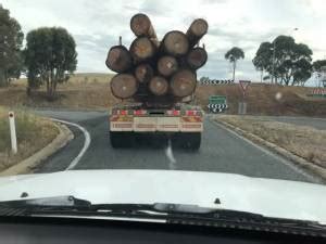 Greater Glider habitat and local jobs exported to China | Our Strathbogie Forest