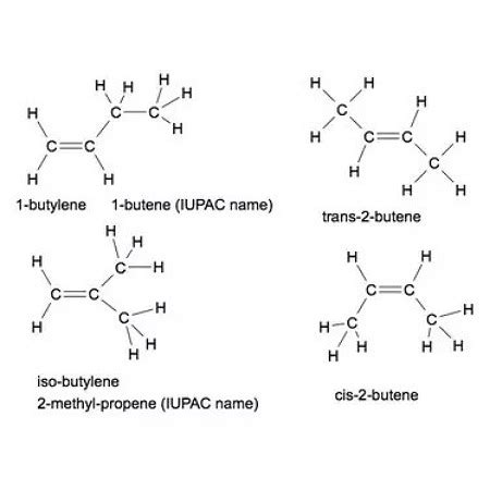 Draw and name the isomers of butene? | Homework.Study.com