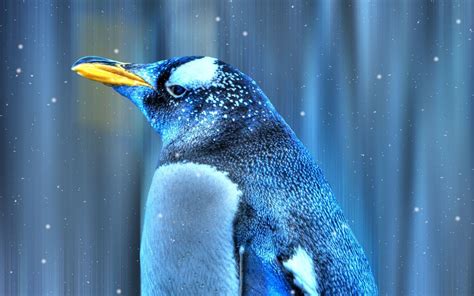 Download Animal Emperor Penguin HD Wallpaper