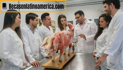 Medicina Veterinaria UPC 2024 - 【Perú】¡Requisitos y más!