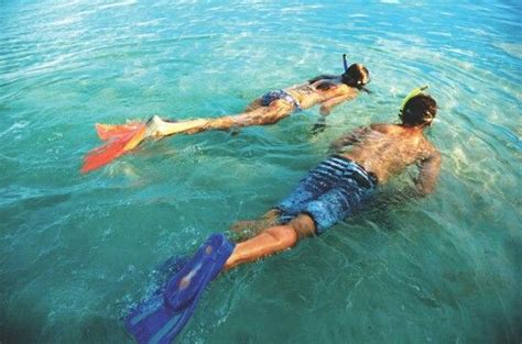 Snorkeling in Cook Island | Island time, Island, Cook islands