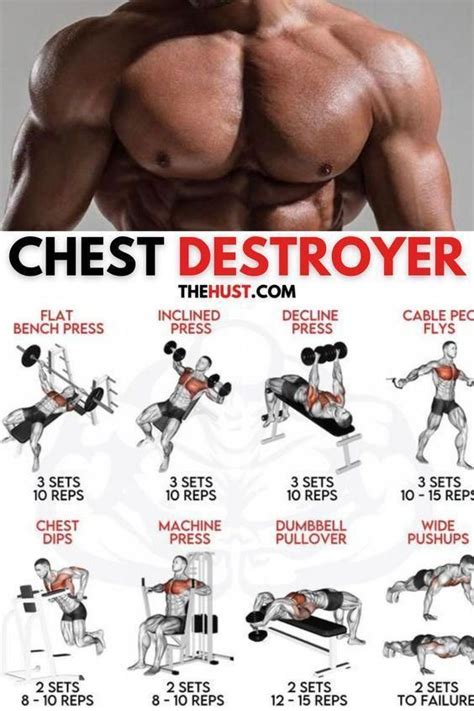 15 Efficient chest Workouts To Build Might & Muscle - Virimi | Gym workout chart, Bodybuilding ...