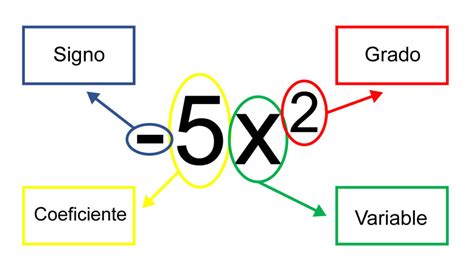 Las Expresiones Algebraicas !4 Tipos con ejemplos!