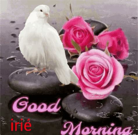 Rose Good Morning GIF - Rose GoodMorning Irie - Discover & Share GIFs