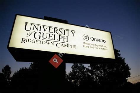 University of Guelph Ridgetown Campus - Ridgetown