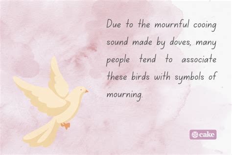 What Do Mourning Doves Symbolize? | Cake Blog