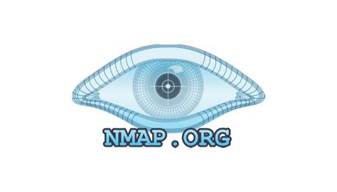 How to Scan for Vulnerabilities With Nmap (Steps & Definition)