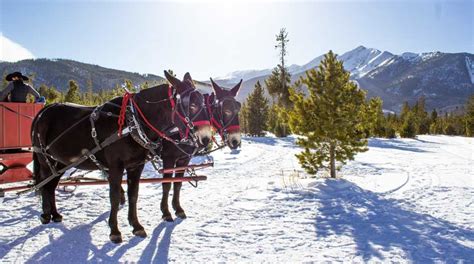 Arapahoe Basin Ski Area (Your Ultimate A-Basin Guide)