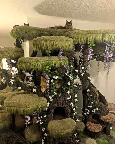 Cat Tree House Tower at Douglas Jung blog