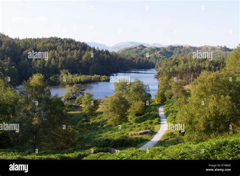 Tarn Hows, Lake District Stock Photo - Alamy