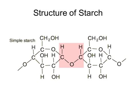 Polysaccharides: Types, Structure, Functions with Videos and Examples