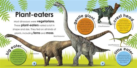 Dinosaur Information for Kids | Dinosaurs Pictures and Facts