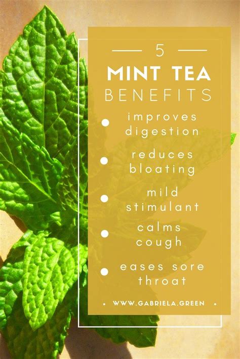 The 11 Biggest Health Benefits Of Drinking Mint Tea - Gabriela Green | Mint tea benefits ...