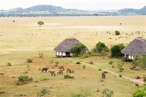 The Most Beautiful Lodges in Uganda, Africa’s Best-Kept Secret | Vogue