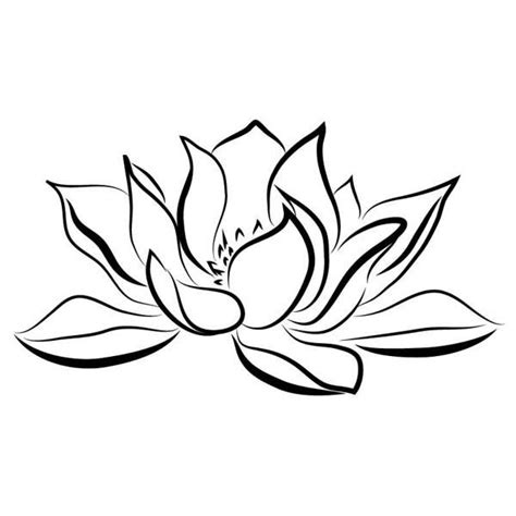 Water lily by Alexandra Muresan, via Behance | Water lily tattoos, Water lily drawing, Lilies ...