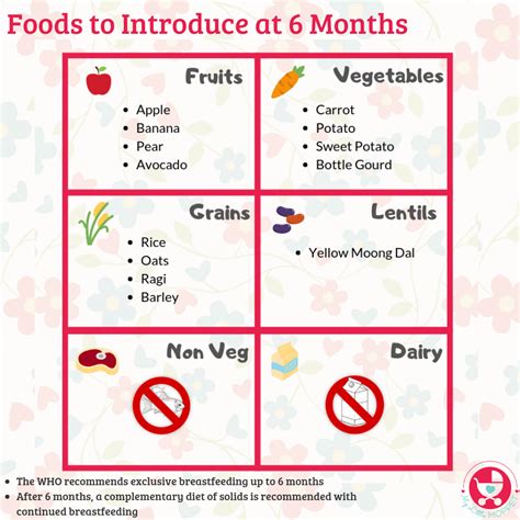 6 Months Baby Food Chart - with Detailed Delicious Indian Recipes