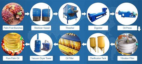 Palm Palm Oil Mill Process for Starting Palm Oil Extraction Business