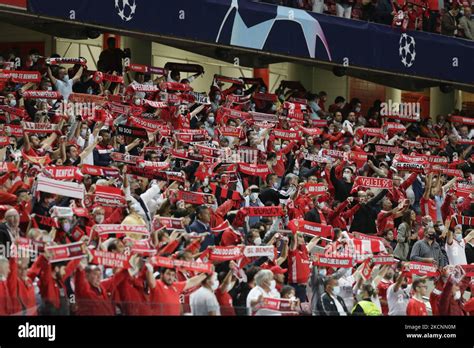 Benfica fans hi-res stock photography and images - Alamy