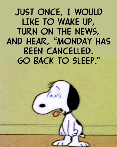 Pin by C R on CHARLIE BROWN AND SNOOPY | Snoopy quotes, Snoopy friday ...