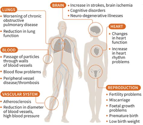 Effects of fine particulate matter PM í µí¿ .í µí¿ on the body.... | Download Scientific Diagram